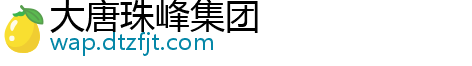 大唐珠峰集团